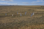 Targets