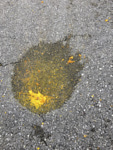 splat