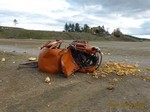 VW and giant pumpkin