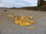 Pumpkin guts