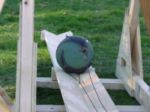 medicine ball loaded thumbnail