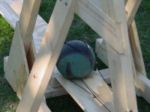 medicine ball loaded close-up thumbnail