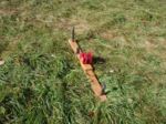 winch thumbnail