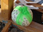 Day 2 Pumpkin thumbnail