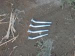 Endstop bolts thumbnail