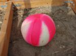 Day 3 Pumpkin thumbnail
