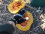 cut pumpkin