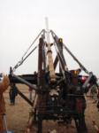 Onager