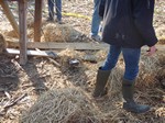 Haybale