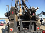Onager back